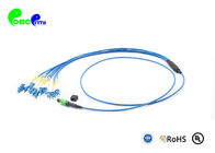 Multimode Optical Fiber Patch Cord, MPO/MTP Fiber Optic Trunk Cable