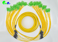 PVC/LSZH Jacket Fiber Optic Patch Cables SC APC - SC APC 72 Fibres Single Mode Breakout