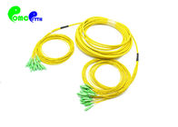 24F SM SC APC - SC APC  G657A2 9 / 125μm Fiber Optic Patch Cables Breakout 2.0mm Length