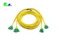 24Fibers Pre-terminated LC APC To LC APC Fiber Optic Patch Cables OS2 G652D 9 / 125μM Bunch Fanout For Vertical cabling