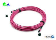24F OM4 MPO Trunk Cable Senko MPO female - MPO Male 50 / 125μm With Magenta LSZH 3.0mm OD cable Jacket