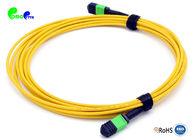 SM 24F 10M MPO Female - MPO Female MPO Trunk Cable For 40G / 100G Data Center Solution