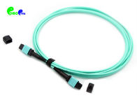 OM3 12F 3.0mm MPO Trunk Cable MPO Female to MPO Female 50 / 125μm With LSZH Aqua 10M Polarity B MPO Fiber Cable