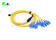 SM 12 Fibers MPO Trunk Cable MPO Female - SC UPC Harness Cable 9 / 125μm Straight Fanout SC Duplex 0.5m Type A LSZH