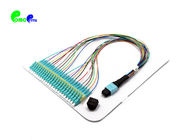 Fanout 0.9mm MTP male - LC Cable OM4 24 Fibers  30cm  For MPO / MPO - LC cassette / panels