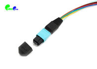 ELite MTP Trunk Cable Fanout 0.9mm MTP Male to SC PC 12F MM With 900μm OM3 50 / 125 30cm for MPO/MTP-SC cassette /panels