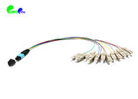 ELite MTP Trunk Cable Fanout 0.9mm MTP Male to SC PC 12F MM With 900μm OM3 50 / 125 30cm for MPO/MTP-SC cassette /panels