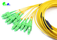 MTP Trunk Cable Breakout 2.0mm 12F SM MTP Female to SC APC Duplex 3.0mm Jacket OD Yellow Elite Loss Type B 0.5m