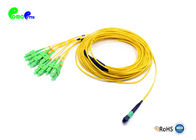 MTP Trunk Cable Breakout 2.0mm 12F SM MTP Female to SC APC Duplex 3.0mm Jacket OD Yellow Elite Loss Type B 0.5m