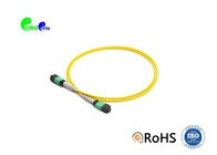 MTP Trunk Cable 12 Fibre 9 / 125μm MTP to MTP Female Single Mode OS2 LSZH Type A Patch Cable