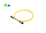 MTP Trunk Cable 12 Fibre SX 9 / 125μm MTP to MTP Female OS2 LSZH Type B SM Yellow Patch Cable