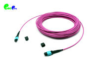 OM4 MTP Male 24F SX 50 / 125μm MTP Trunk Cable With G651 Magenta LSZH Jacket
