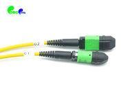2 Meter Standard Loss Senko 24F MPO (F) to 2 X 12F MPO(F) Trunk Cable SM 9/125um LSZH Yellow Conversion Cables