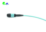100Gbps 24F 50/125 OM3 LSZH MPO Optical Patch Cord