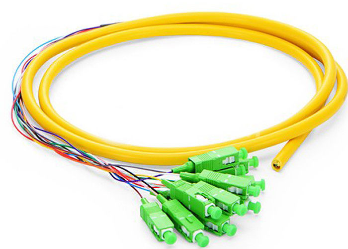 6 Fiber Wall Mount w// 6 ST Adapters 62.5//125 Multimode Pigtails /& 12f Splice
