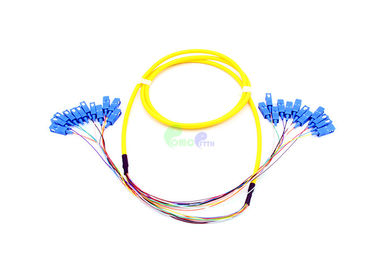 2 Meters Mini Fiber Optic Patch Cables SC UPC - SC UPC 12 Cores OS2 Fanout 0.9mm