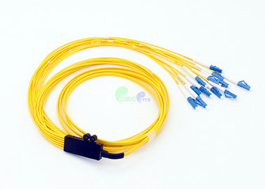 6 Fiber Wall Mount w// 6 ST Adapters 62.5//125 Multimode Pigtails /& 12f Splice