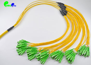 PVC/LSZH Jacket Fiber Optic Patch Cables SC APC - SC APC 72 Fibres Single Mode Breakout