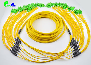 PVC/LSZH Jacket Fiber Optic Patch Cables SC APC - SC APC 72 Fibres Single Mode Breakout