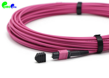 24F OM4 MPO Trunk Cable Senko MPO female - MPO Male 50 / 125μm With Magenta LSZH 3.0mm OD cable Jacket