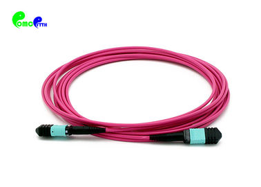 MPO Trunk Cable OM4 24F 3.0mm 50 / 125μm MPO Female MPO Patch Cable LSZH Violet Senko