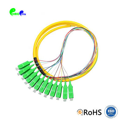 12F SC Pre Terminated Cable Optical Pigtail Single Mode 2 Meter